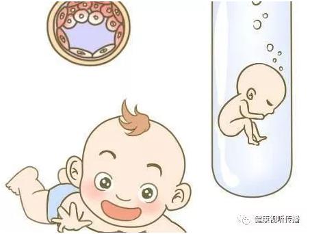首席专家
